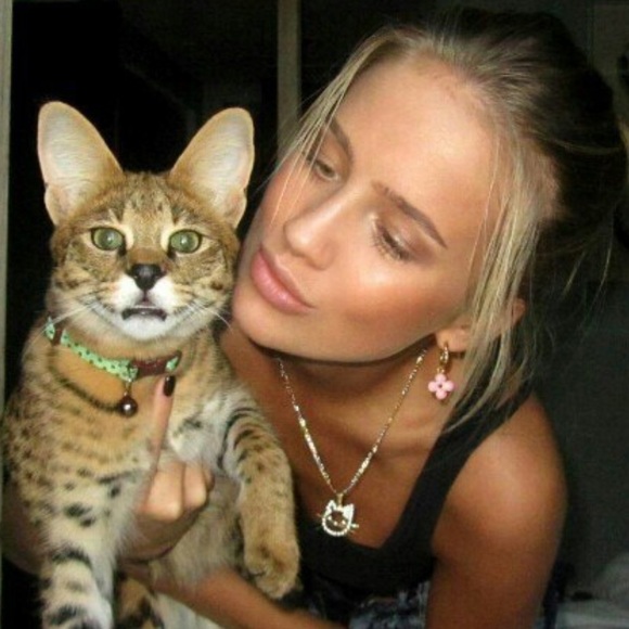 SOLD ON ANOTHER SITE - Picture 4 of 4